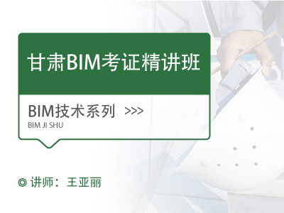 （甘肃）BIM考证精讲班